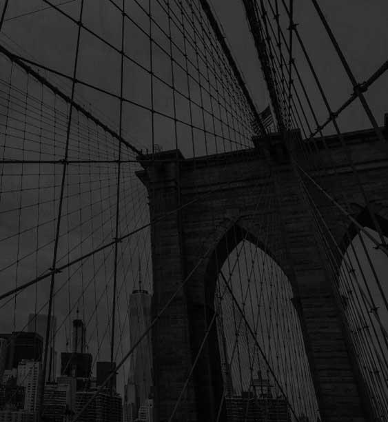 Brooklyn Sports & Entertainment Hero