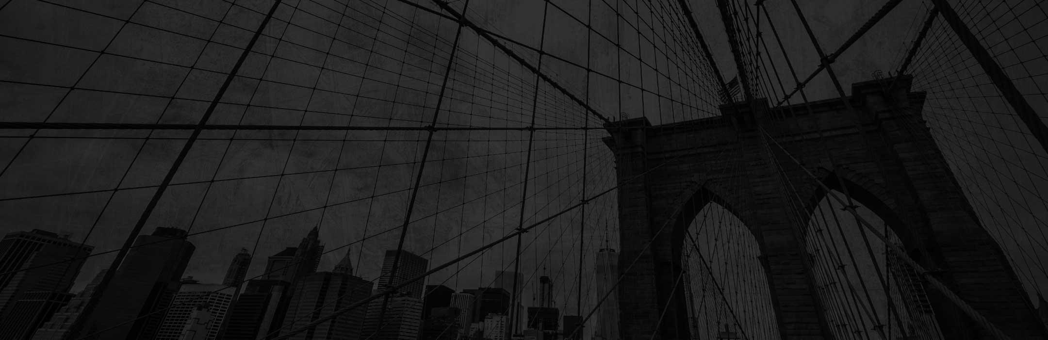 Brooklyn Sports & Entertainment Hero